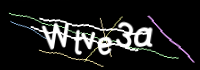 Enter the character string shown in the picture